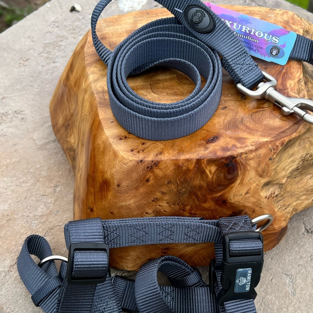 Hamilton 1"x6 FT Long Single Thick Nylon Dog Leash W/ LG Comfort Harness - Picture 3 of 11